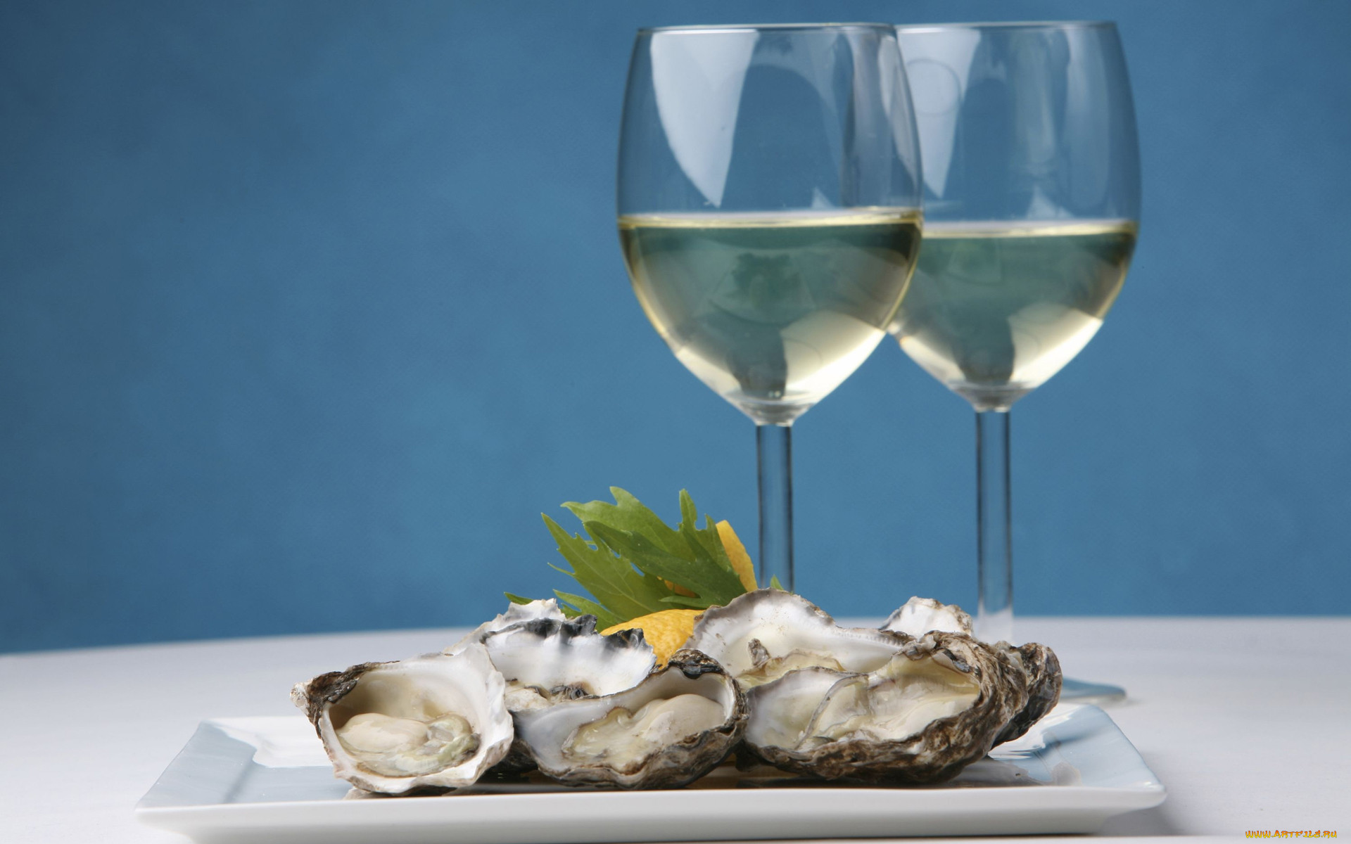 champagne, and, oysters, , , , , , , 
